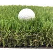 Искусственная трава CCGrass Lissome 45 (ландшафт)5