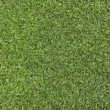 Искусственная трава ecoGrass 17 (ландшафт)1