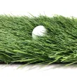 Искусственная трава CCGrass Ultrasport 50 FIFA certificate(футбол)0