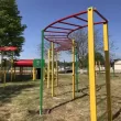 Рукоход Ящерица1