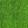 Искусственная трава CCGrass СЕ 20 (мультиспорт)2