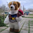 Пес Патрон Киев. Поздравление2