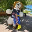 Пес Патрон Винница. Поздравление3