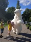 Білий Ведмедик Рівне. Привітання1