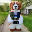 Пес Патрон Житомир. Поздравление7