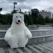 Білий Ведмедик Варшава. Привітання.1