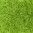Искусственная трава CCGrass СЕ 20 (мультиспорт)1