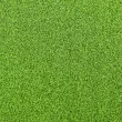 Искусственная трава CCGrass Green E 12 (мультиспорт)1