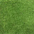 Искусственная трава ecoGrass U-20 (ландшафт)1