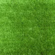 Искусственная трава ecoGrass SD-154