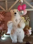 Білий Ведмедик Рівне. Привітання2