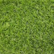 Искусственная трава ecoGrass J-40/ecoGrass U-40 (ландшафт)2