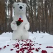 Білий Ведмедик Вроцлав. Привітання.9