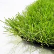 Искусственная трава ecoGrass J-40/ecoGrass U-40 (ландшафт)4