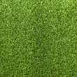 Искусственная трава ecoGrass SD-20 (ландшафт)1