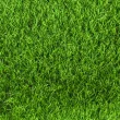 Искусственная трава CCGrass Stemgrass Nature D3 40 (футбол)2