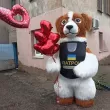 Пес Патрон Черновцы. Поздравление1