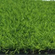 Искусственная трава ecoGrass SD-20 (ландшафт)2
