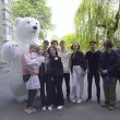 Білий Ведмедик Київ. Привітання. (Ціна з проїздом)7