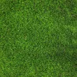 Искусственная трава CCGrass Lissome 45 (ландшафт)1