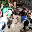 Папір для паперового шоу в Ужгороді1