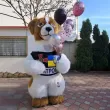 Пес Патрон Николаев. Поздравление9